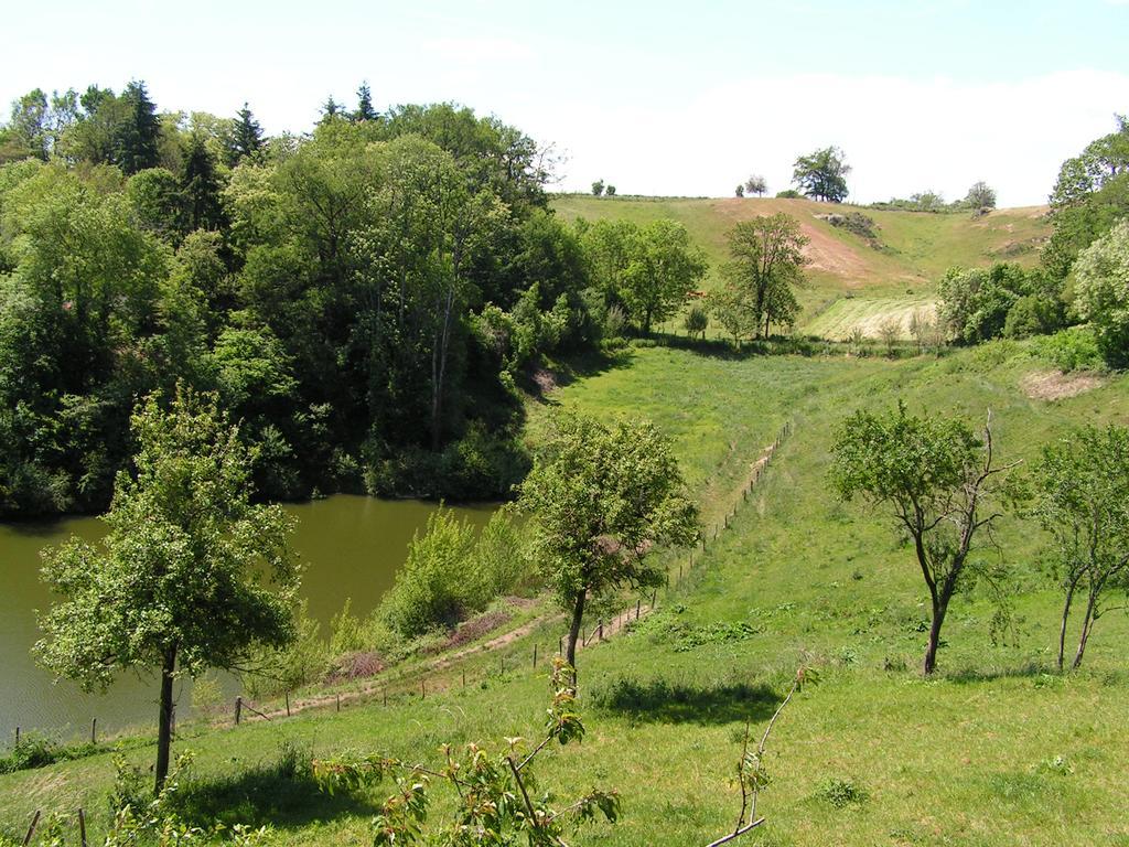 Gite De Carbonies Saint-Félix-de-Lunel Eksteriør bilde