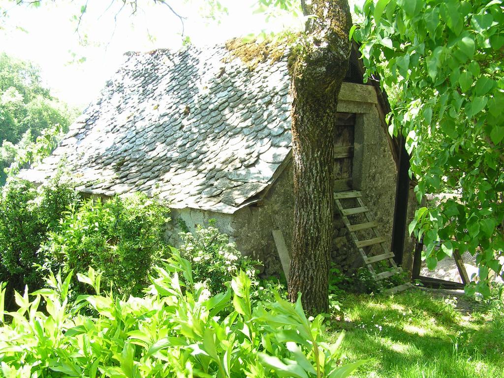 Gite De Carbonies Saint-Félix-de-Lunel Eksteriør bilde